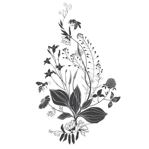 Bee. Vector composition of field flowers and herbs with little bees on white