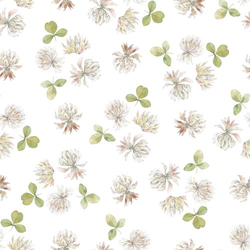 Raster image clover, watercolor flowers and leaves on white