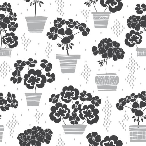 Geranium. Vector monochrome geranium flowers in pots on white