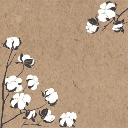 Cotton. Vector cotton, corner composition with text area on craft