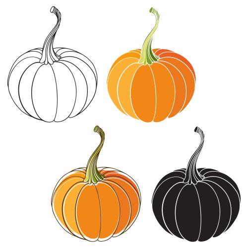 Pumpkin. Vector pumpkins, four variants on white