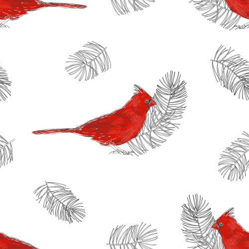 Pine. Vector red cardinals, coniferous twigs on white