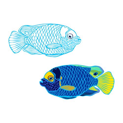 Vector image blue angelfish, colored outline and silhouette on white