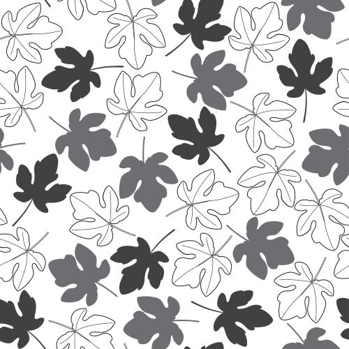 Illustration monochrome silhouettes and contours of fig leaves on white