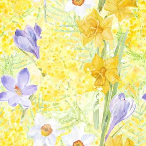 Illustration watercolor spring flowers: mimosa, crocuses and daffodils
