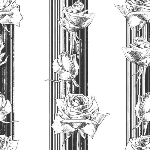Stripe. Vector roses on striped