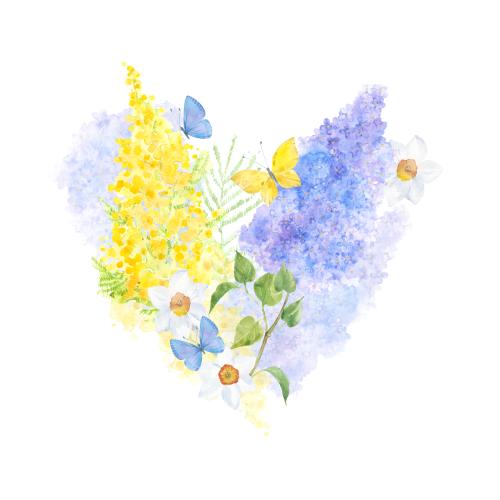 Raster image heart from watercolor flowers lavender mimosa daffodils butterflies on white