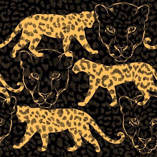 Leopard. Vector leopards contours and silhouettes on textured black