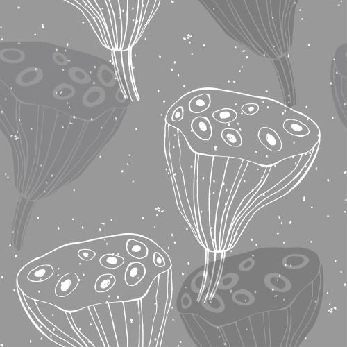 Lotus. Vector lotus boxes contours and silhouettes on gray