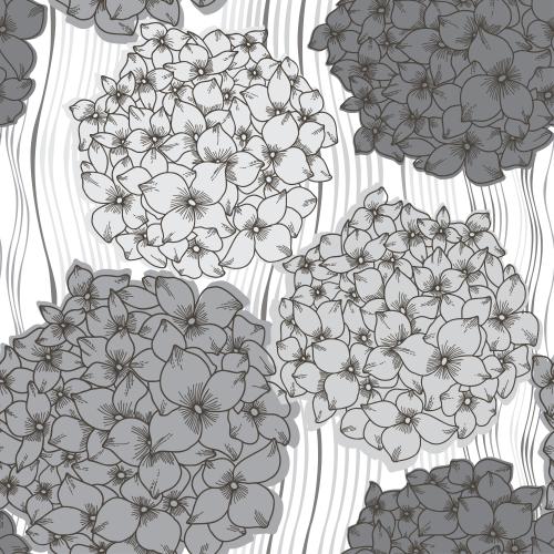 Hydrangea. Vector monochromatic hydrangeas, wavy stripes on white