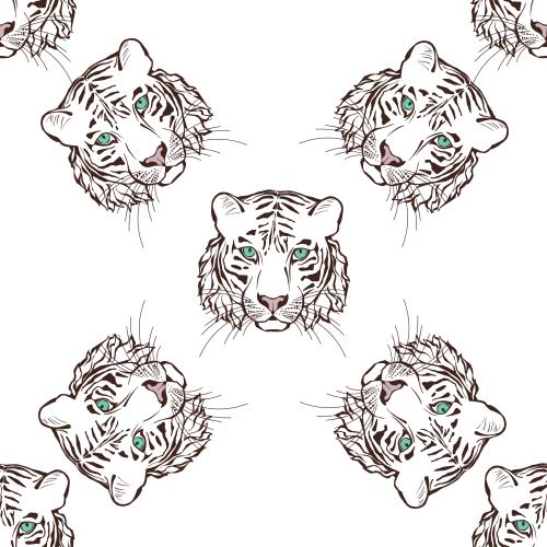 Tiger. Vector tigers' heads on white