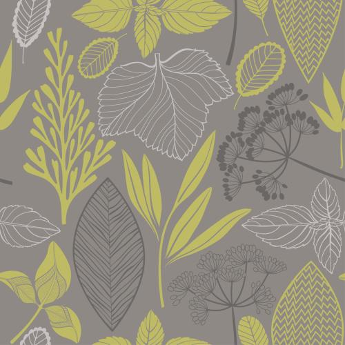 Floral. Vector contours and silhouettes of different leaves, umbrella flowers on gray