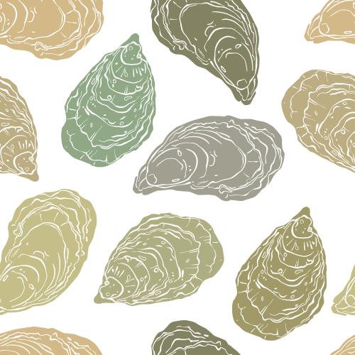 Oyster. Vector oysters, colorful silhouettes on white