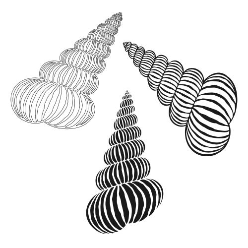Vector image shells on white three options