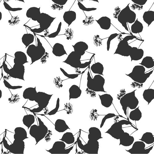 Linden. Vector linden branches silhouettes on white