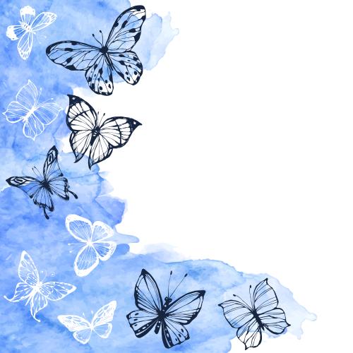 Illustration butterflies, blue watercolor fragment, text area on white