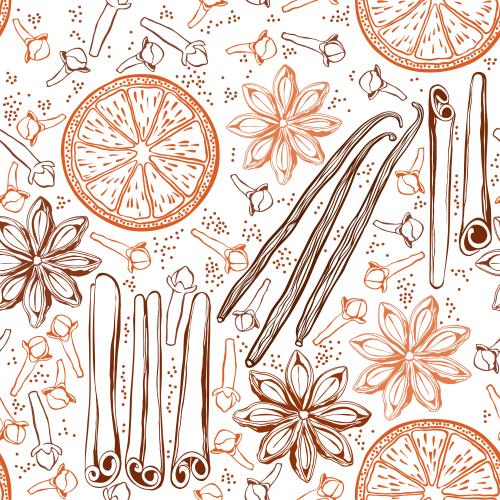 Spice. Vector cinnamon sticks and vanilla, cloves, star anise, orange slices on white