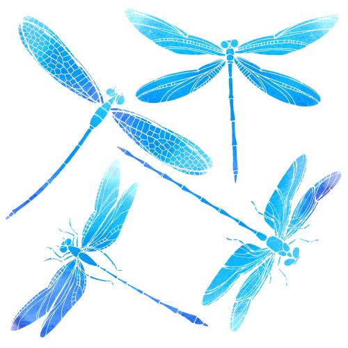 Dragonfly. Vector watercolor dragonflies on white