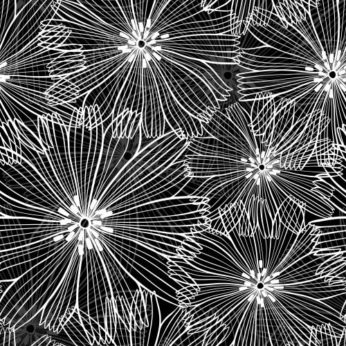 Vector image lace white and gray flowers on black