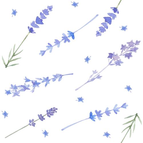 Watercolor. Vector Pattern lavender on white