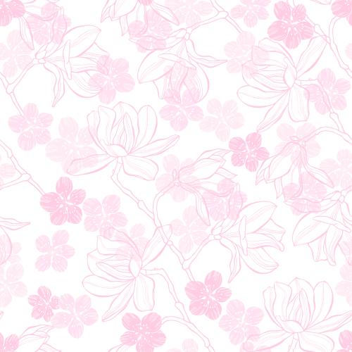 Magnolia. Vector flowers of magnolia and cherry blossoms on white