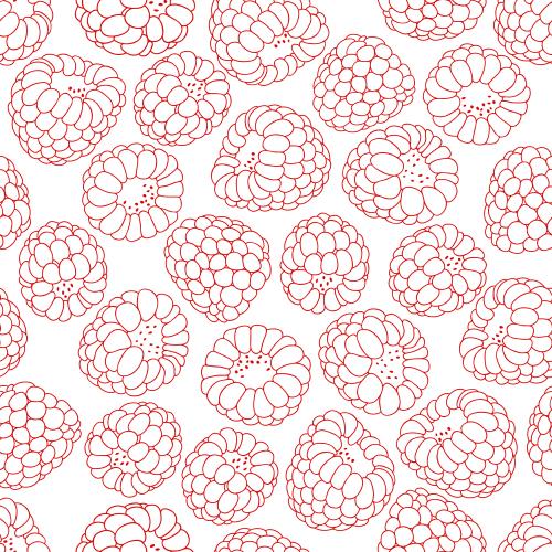 Berry. Vector raspberry berries red contours on white