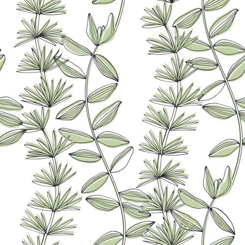 Illustration marine seaweed contours and colored silhouettes on white