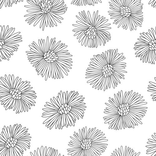 Coltsfoot. Vector arnica flowers contours on white