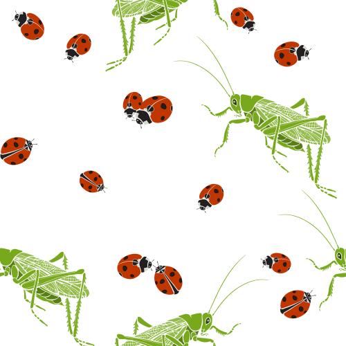 Grasshopper. Vector grasshoppers and ladybugs on white