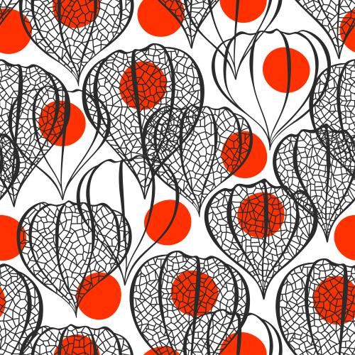 Vector image physalis black lace outlines and red berries on white