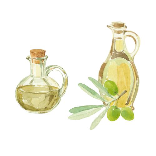Olivaceous. Vector olive branch with olives and two bottles with oil on white
