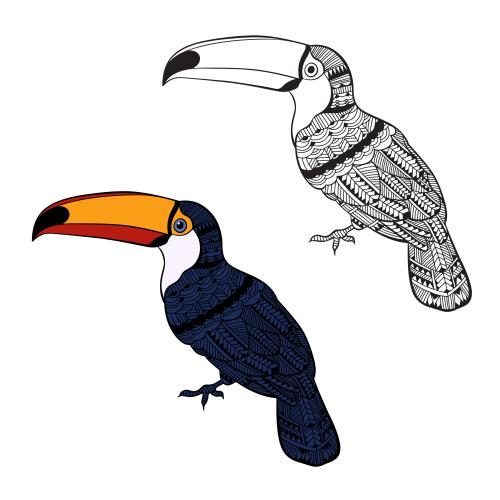 Toucan. Vector two cartoon toucans outline drawing and colored silhouette on white