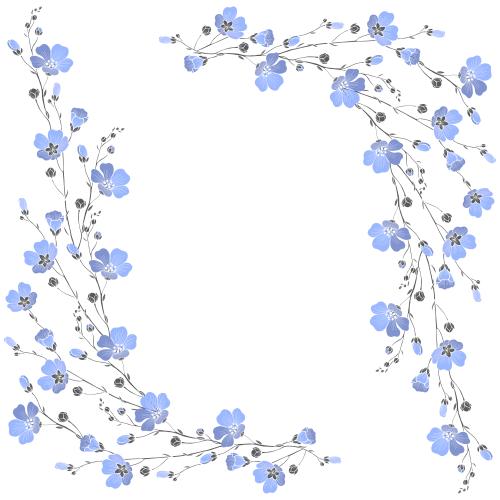 Flax. Vector bloomed flax branches place for text on white