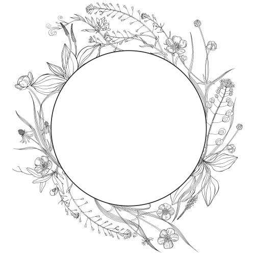Grass. Vector round frame with field flowers and herbs plantain shepherd's purse violets on white