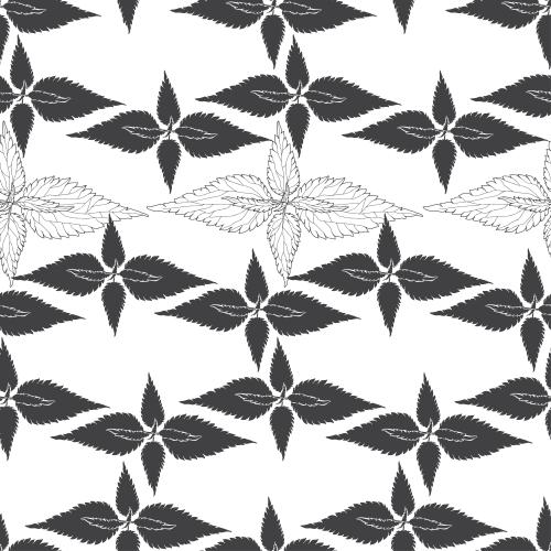 Illustration nettle, black outlines and silhouettes on white