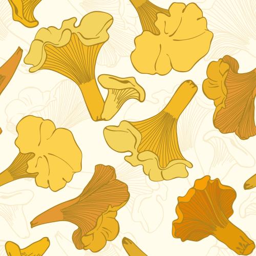 Mushroom. Vector bright chanterelles on a light, contours and silhouettes