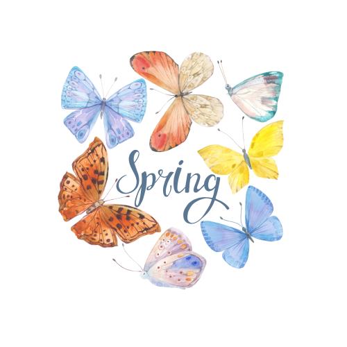 Raster image watercolor butterflies, spring inscription on white