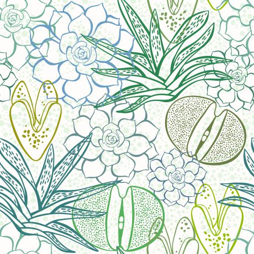 Succulent. Vector multicolored succulents on white checkered
