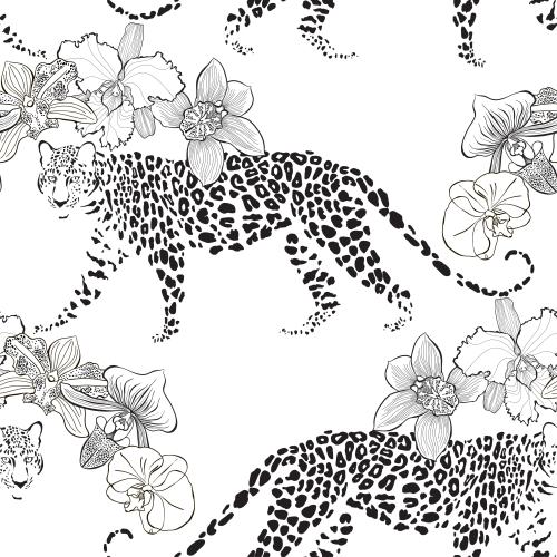 Orchid. Vector leopards and orchids on white