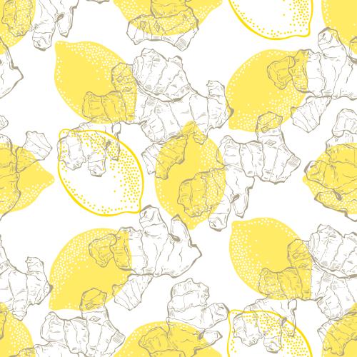 Lemon. Vector ginger and lemon on white