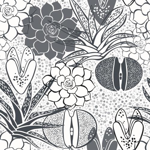 Pea. Vector silhouettes and contours of succulents on checkered white