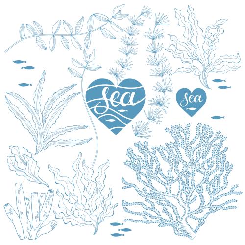 Vector image seaweed, corals, fish, hearts with the inscription sea on white