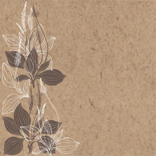 Plantain. Vector lungwort, contours and silhouettes, text area on craft