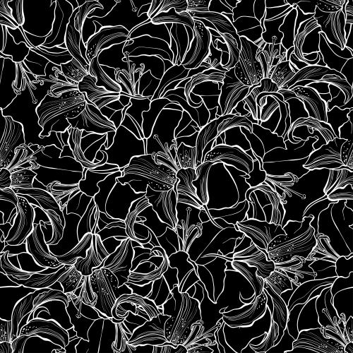 Lily. Vector lilies white outlines of flowers on black