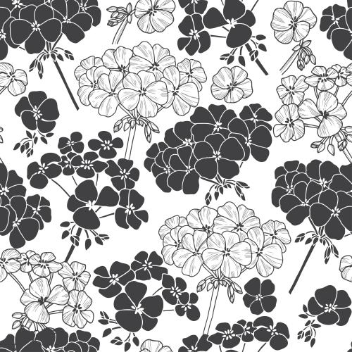 Geranium. Vector flowers of geraniums contours and silhouettes on white