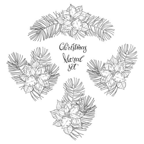 Pine. Vector flower compositions with coniferous branches and poinsettia flowers