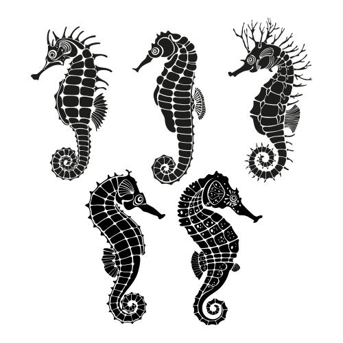 Illustration seahorses black silhouettes on white five characters