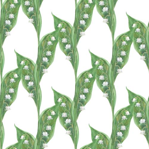 Illustration watercolor lilies on white