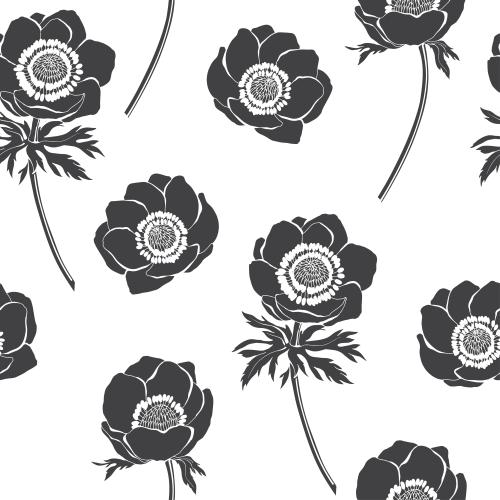 Anemone. Vector anemones black silhouettes of flowers on white