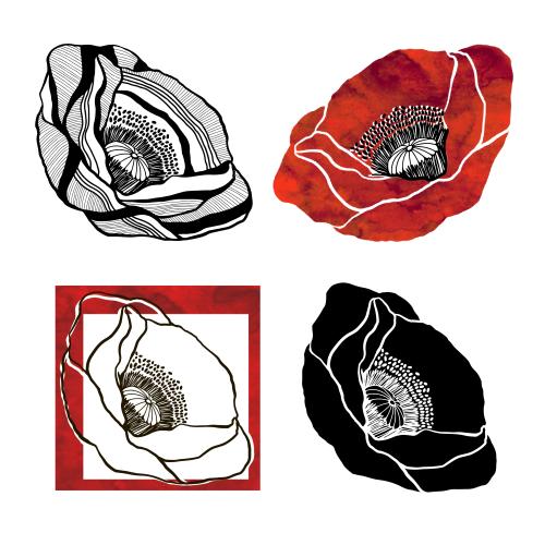 Poppy. Vector poppies, four different options on white